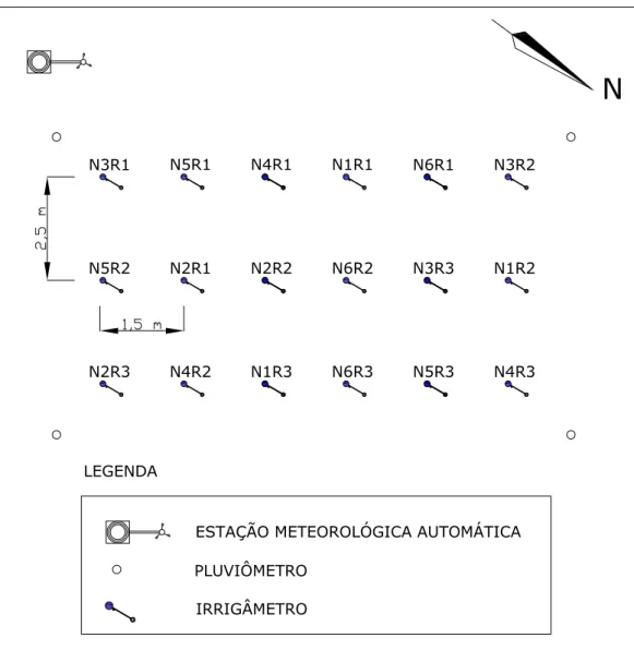 Figura  1  -  Disposição  dos  Irrigâmetros,  dos  pluviômetros  e  da  estação  meteorológica  automática na área experimental
