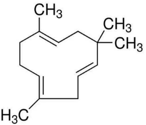 Figura 2.  Estruct ura química del α- humuleno. 