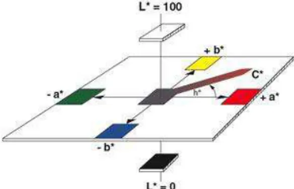 Figura 1. Sólido de cores do sistema CIE L*a*b* e descrição do ângulo hue (h * ) e do  índice de saturação croma (C * )