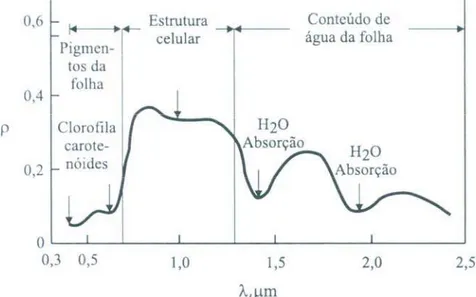 Figura 1. Curva de reflectância típica de uma folha verde, onde “ ρ” representa  os valores percentuais de reflectância e “ ” são os valores dos  comprimentos de onda em  m