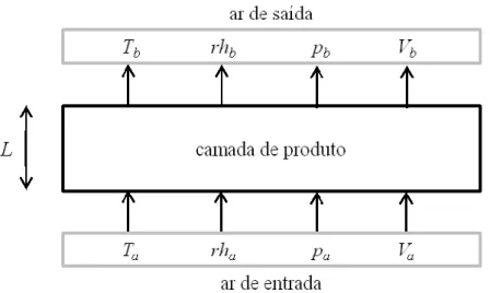 Figura 1. Volume de controle considerado no modelo de camada delgada. 