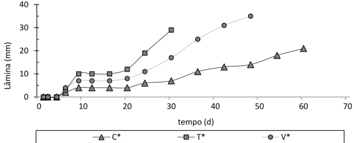 Figura 5.4: Valores de evapotranspiração acumulada dos SACs durante a fase III. 