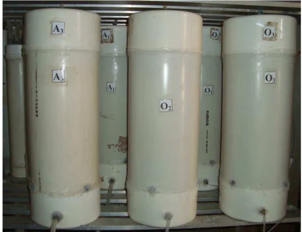 Figura 2   – Recipientes cilíndricos utilizados para ozonização dos grãos de trigo. 