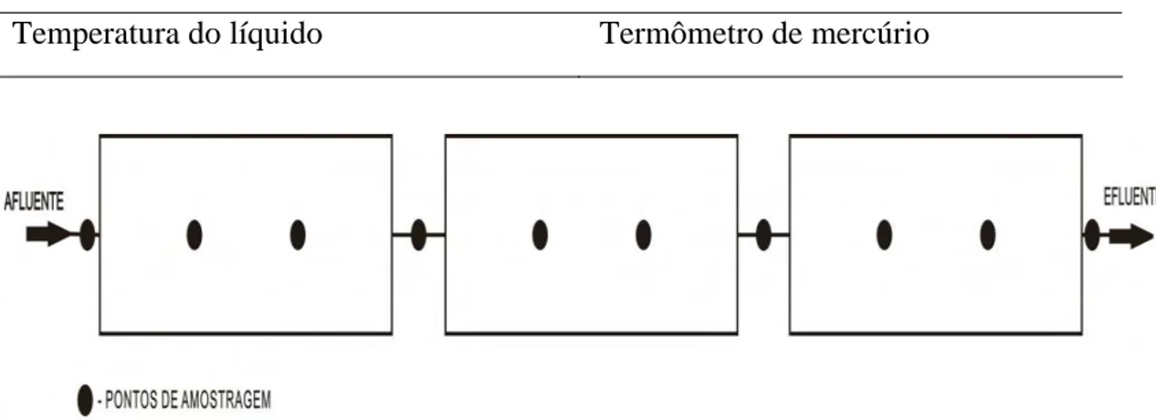 Figura 4.10: Representação dos pontos de coleta afluente e efluente e ao longo do  comprimento dos SACs