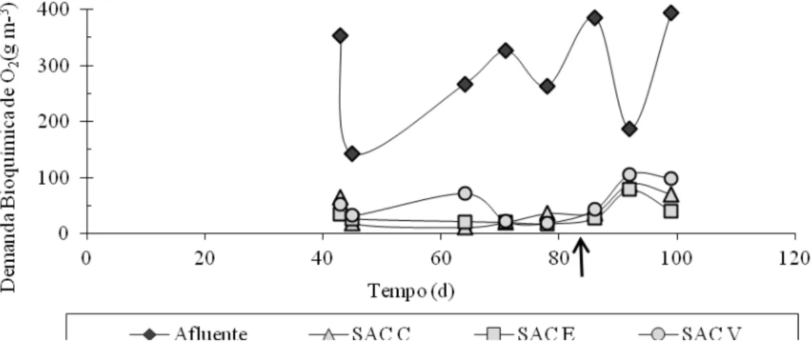 Figura 5.5: Concentrações da DBO, em g m -3 , do afluente e dos efluentes ao longo  do tempo experimental