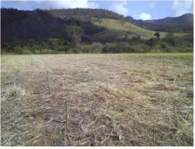 FIGURA 4 – Aplicação de herbicida pré-semeadura.