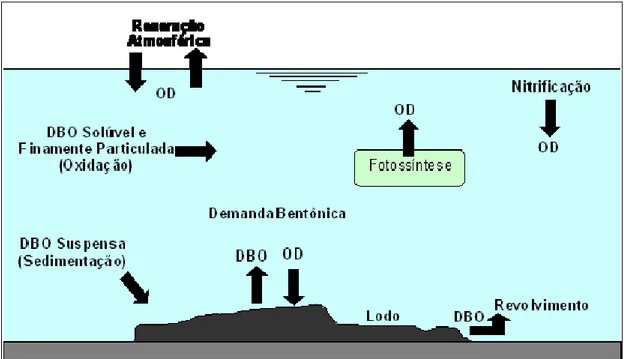 Figura 1 – Mecanismos relacionados ao balanço do oxigênio dissolvido (Santos, 2001)  