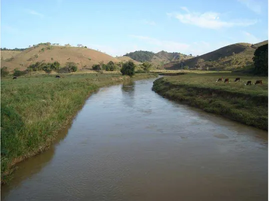 Figura 14. Rio Pomba, a montante do Rio Lontra 