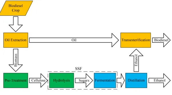 Figure 4.   Biorefinery flow diagram. 