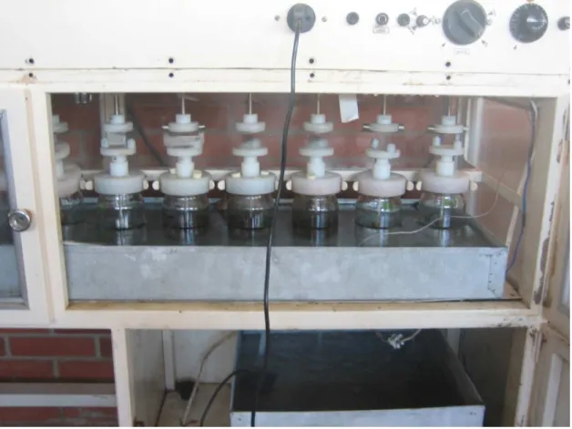 Figure 6.   Apparatus utilized for enzymatic hydrolysis. 