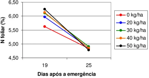 Figura  15.  Evolução  dos  valores  médios  de  N  foliar,  aos  19  e  25  DAE  no  experimento 1, para as doses de N aplicado na semeadura