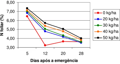 Figura  16.  Evolução  dos  valores  médios  de  N  foliar,  aos  05,  12,  20  e  28  DAE  no  experimento  2,  para  as  doses  de  N  aplicado  na  semeadura