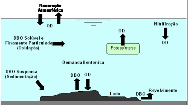 Figura 2 – Mecanismos relacionados ao balanço do oxigênio dissolvido.  Fonte: Santos (2001)  