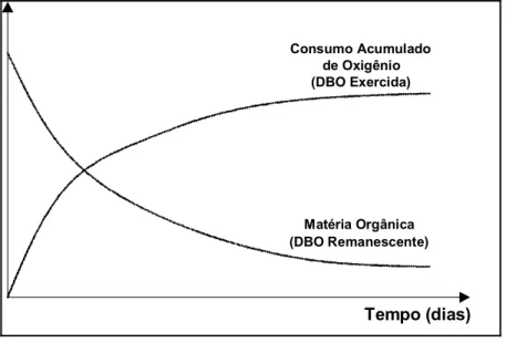 Figura 4 – DBO exercida e DBO remanescente ao longo do tempo. 