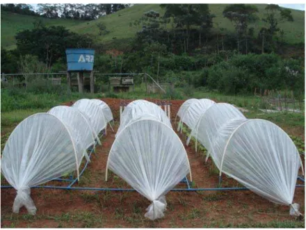 Figura 4 – Cobertura  plástica  de  proteção contra a chuva no ambiente  externo. 