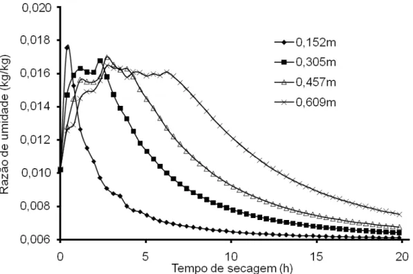 Figura 10. Variação temporal da razão de umidade em diversas posições no  leito de grãos, sob condições padrões de simulação de secagem