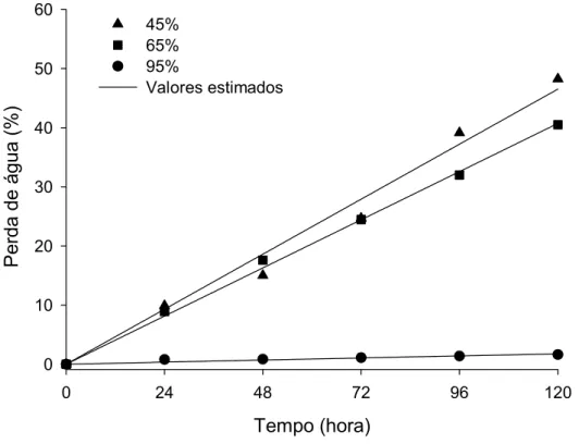 Figura 9 – Estimativa da perda de água (%) das cenouras de classe média  em função do tempo de armazenamento (horas) e da umidade  relativa (%)