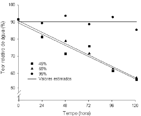 Figura 16 – Estimativa do teor relativo de água (%) das cenouras de classe  média em função do tempo de armazenamento (horas) e da  umidade relativa (%)