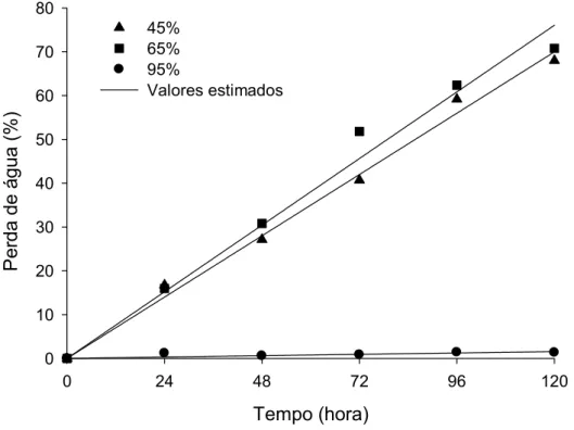 Figura 29 – Estimativa da perda de água (%) das cenouras de classe média  em função do tempo de armazenamento (hora) e da umidade  relativa (%)