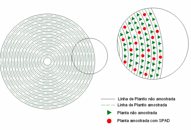 Figura 1 –  Amostragem da área em estudo. 