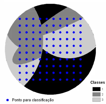 Figura 4 –  Esquema representativo da grade padrão de classificação. 