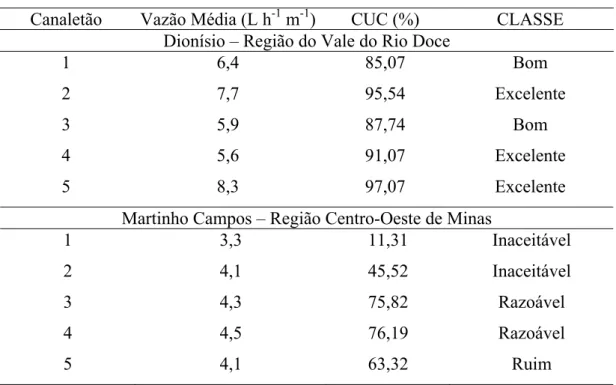 Figura 5 – Distribuição  de  água  no  canaletão 1, minijardim clonal do viveiro de  Martinho Campos (região Centro-Oeste de Minas)