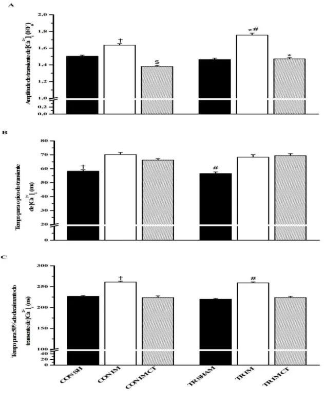 Figura  10.  Transiente  de  [Ca 2+ ] i   dos  cardiomiócitos  isolados  do  ventrículo  esquerdo  dos  animais experimentais