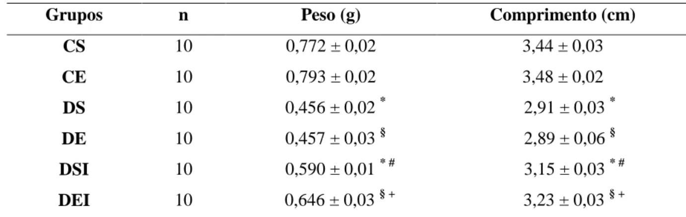 Tabela  4.  Peso  e  comprimento  do  fêmur  direito  dos  ratos  ao  final  das  oito  semanas  do  programa de treinamento em natação