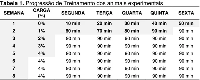 Tabela 1. Progressão de Treinamento dos animais experimentais 