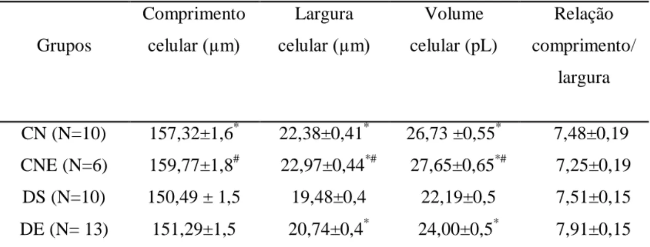 Tabela 5.   Comprimento, largura e volume de cardiomiócitos do ventrículo esquerdo  dos grupos experimentais