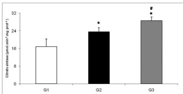 FIGURA 2.11: Atividade da enzima CS. * p&lt;0,05 em relação a G1, # p&lt;0,05  em relação a G2.