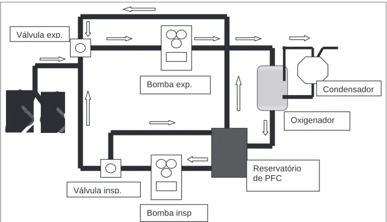 Figura 2 – Representação esquemática de sistema de ventilação líquida total