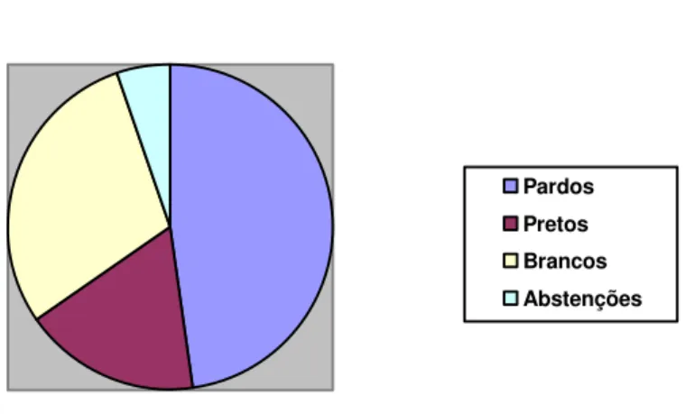 Gráfico 1  – Autoclassificação dos estudantes com relação ao quesito corraça.  Fonte: Dados da pesquisa (2010)