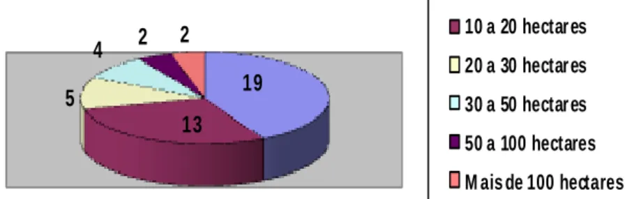 Figura 3- Distribuição das propriedades por tamanho 