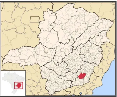 FIGURA 1: Mapa de Minas Gerais com destaque para a cidade de Ubá.   FONTE: Secretaria Municipal de Saúde de Ubá (2012)