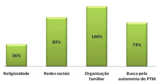 Figura 2 – Estratégias buscadas pelas famílias para alcance do equilíbrio do sistema  familiar, Viçosa, MG