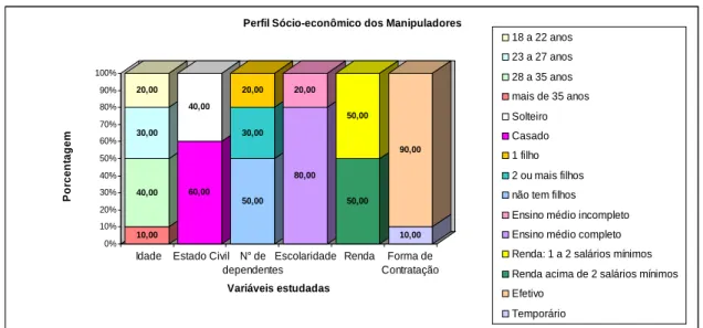 Gráfico 2 – Distribuição  de  porcentagem   relativa   ao   perfil   sócio-econômico    dos 