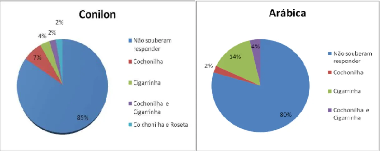 Figura 8: Tipos de pragas mais comuns no café, Castelo/ES, 2011.  Fonte: Dados da Pesquisa, 2011
