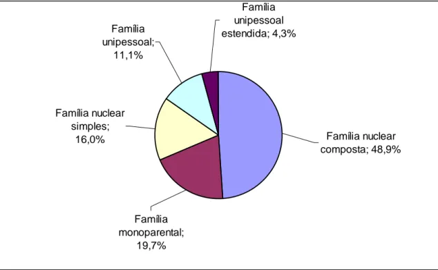 Figura 3 – Distribuição percentual dos arranjos familiares dos domicílios brasileiros em 2007  Fonte: Adaptado de IBGE (2008)