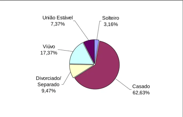 Figura 5 – Estado civil da pessoa de referência das famílias – Bambuí-MG, 2010  Fonte: Dados da pesquisa