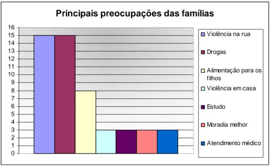 Figura 5 – Principais preocupações apontadas pelas famílias beneficiárias.  Fonte: Dados da pesquisa, 2007