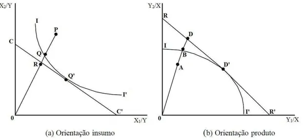 Figura 5  – Isoquantas e eficiência técnica 