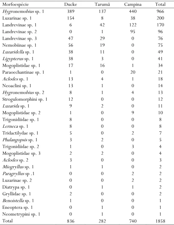 Tabela 3.1: Total de indivíduos capturados por morfoespécie em três áreas de floresta amazônica, com  fisionomias diferentes: Reserva Florestal Adolpho  Ducke (Ducke), Tarumã-Mirim (Tarumã) e Reserva  da Campina (Campina), ordenadas em função da abundância
