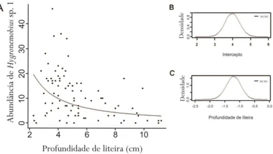 Figura 3.1 A - Gráfico demonstrando a influência da profundidade da liteira sobre a abundância  de  Hygronemobius  sp