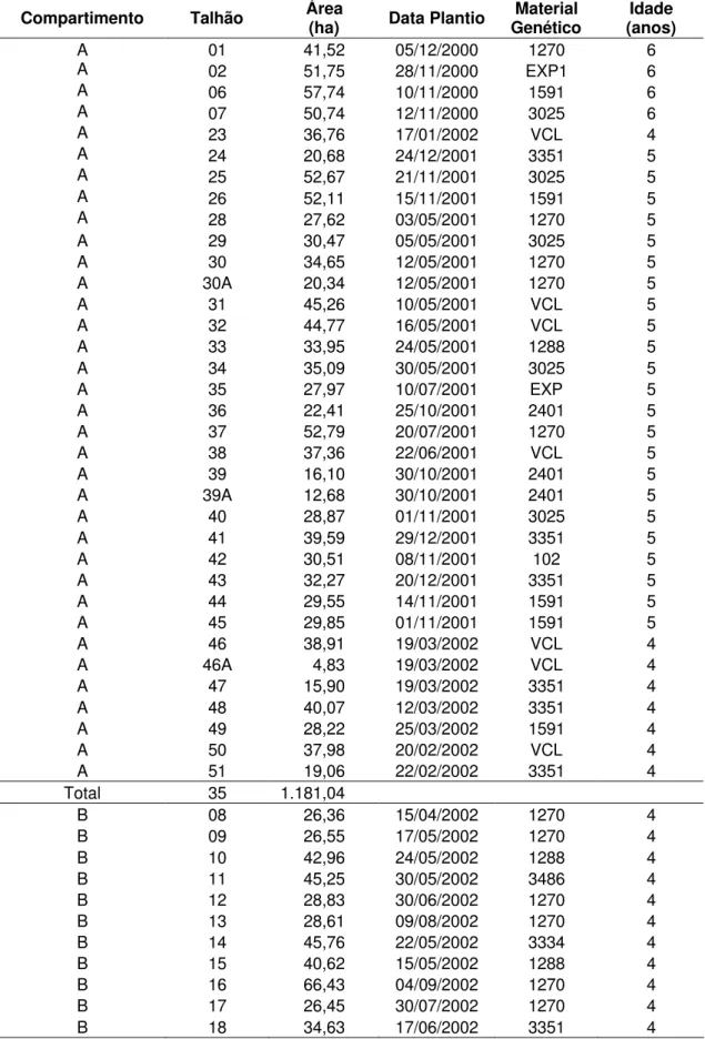 Tabela 1 – Resumo das informações que compõem a área do estudo de caso,  indicando a classe de idade observada em 30/12/2006 