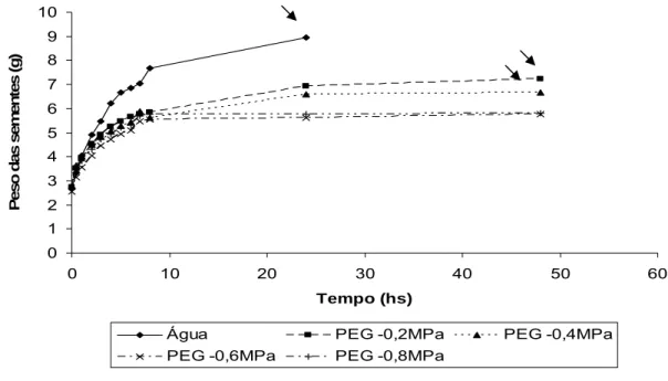 Figura 2 – Variação no peso das sementes relativa à embrbição de sementes de  A. 