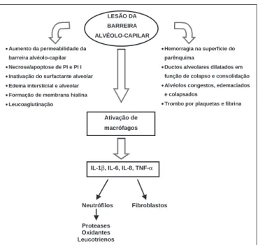 Figura 1 – Representação das diferentes fases da síndrome do des- des-conforto respiratório agudo