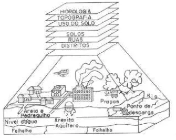 Figura 1: Tipos de informações que podem ser representadas em um SIG  (CALIJURI e RÖHM, 1995)