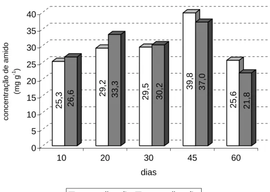 Figura 17- Concentração de amido em mg g -1 , aos 10, 20, 30, 45 e 60 dias após o  estaqueamento em miniestacas de pau mulato, com e sem aplicação de  regulador de crescimento