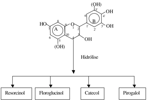 Figura 1 - Estrutura química dos monoflavonóides (BARBOSA, 1990). 
